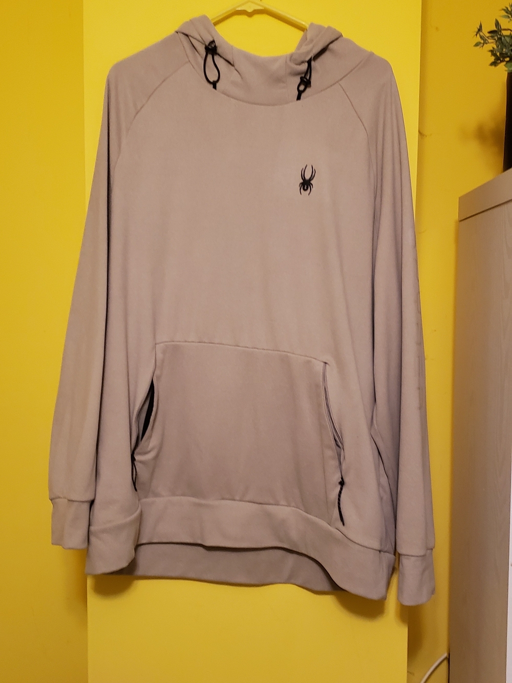 Spyder Men's Pullover Hoodie in Light Taupe